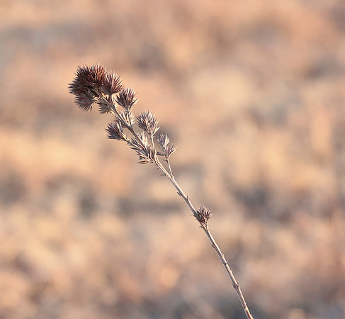 FlintHills (56 of 67)