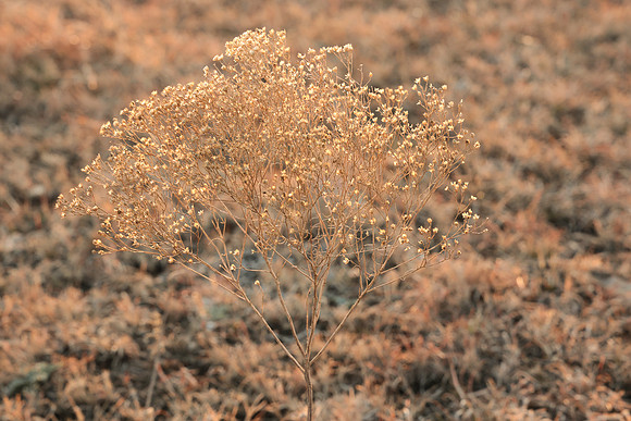 FlintHills (57 of 67)